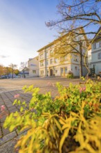 Square with historic building and blooming plants in the foreground in autumn sunshine, Aidlingen,