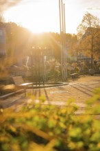 Sunny autumn atmosphere on a square with plants and long shade, Aidlingen, Böblingen district,