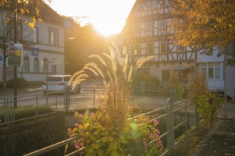 Sunset illuminates a village street with half-timbered houses and autumn decoration, Aidlingen,