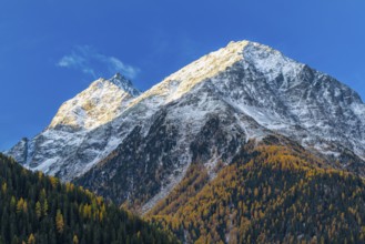 Mixed forest with larch trees (Larix) in autumn, mountain peaks with snow, autumn, Guarda, Engadin,