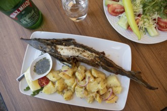 Grilled starlet, fish from the Danube, Golubac, Serbia