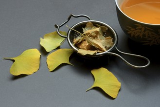 Ginkgo leaves in tea strainer and tea in bowl, ginkgo biloba