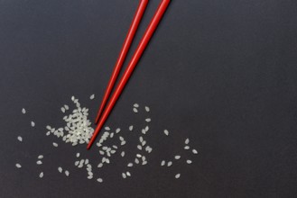 Rice and chopsticks. Oryza