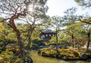 Artfully designed Japanese garden with pond and silver pavilion ginkaku, sun star, jisho-ji or
