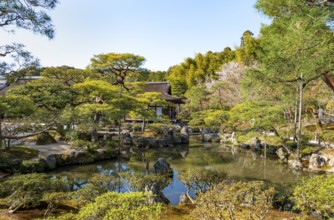 Artfully landscaped Japanese garden with pond in Jisho-ji or Ginkaku-ji, Zen Temple, Higashiyama,