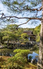 Artfully designed Japanese garden with pond with Togudo in Jisho-ji or Ginkaku-ji, Zen Temple,