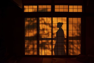 Shadows of a woman in kimono, on the balcony behind sliding shoji doors in a traditional Japanese