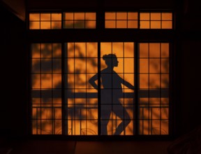 Shades of a woman on the balcony behind a sliding shoji door in a traditional Japanese house,