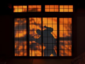 Shadow of a man, burglar with knife, assassin, ninja, on the balcony behind sliding shoji doors in