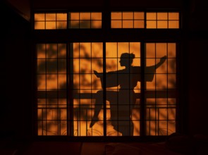 Shadows of a woman in kimono, on the balcony behind sliding shoji doors in a traditional Japanese