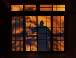Shadow of a woman, burglar with knife, assassin, ninja, on the balcony behind a sliding shoji door