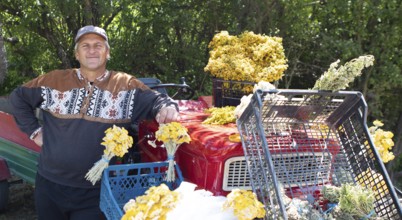 Serbian man, 44 years old, sells Serbian herbs for tea at Lake Vrmdza or natural lake at the foot