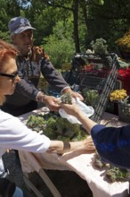 Serbian man, 44 years old, sells Serbian herbs for tea at Lake Vrmdza or natural lake at the foot