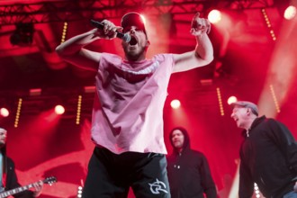 Mal Élevé (Pablo Charlemoine), singer of Irie Révoltés live on Irieunion - Le Re-Tour pour une