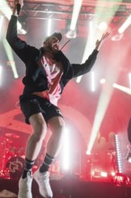 Mal Élevé (Pablo Charlemoine), singer of Irie Révoltés live on Irieunion - Le Re-Tour pour une