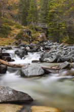 Mountain stream with wooden bridge, mixed forest, autumn, Pontresina, Bernina Pass, Engadin,