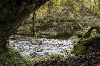 Stream in autumn, Gams, Styria, Austria