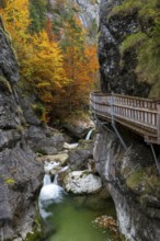 Holzsteg in der Nothklamm, autumn, Gams, Palfau, Hieflau, Styria, Austria