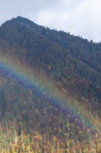 Rainbow in front of autumnal forest, mountain, Styria, Austria