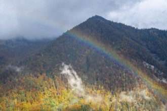Rainbow in front of autumnal forest, mountain, Styria, Austria