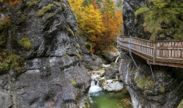 Holzsteg in der Nothklamm, autumn, Gams, Palfau, Hieflau, Styria, Austria
