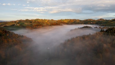 Aerial view, sunrise, typical landscape in autumn with vineyards, South Styrian hills, South