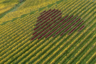 Aerial view, heart, vineyards, South Styrian hills, South Styrian Wine Route, Styria, Austria