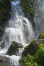 A waterfall falls over rocks surrounded by green vegetation and trees in sunshine, Shaki Waterfall,