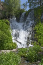An impressive waterfall cascades down amid lush green vegetation, surrounded by rocks and trees,