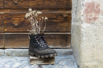 Old hiking boot with edelweiss, decoration, Guarda, Engadin, Graubünden, Switzerland