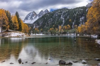 Lake Palpougna, mountain lake, Piz da la Plais, Tschimels, mixed forest with larches (Larix) in