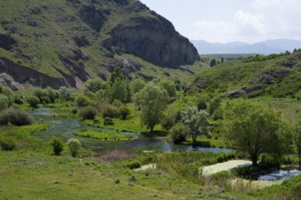 Picturesque river landscape with green hills and trees, Vorotan river, landscape near Sisian,