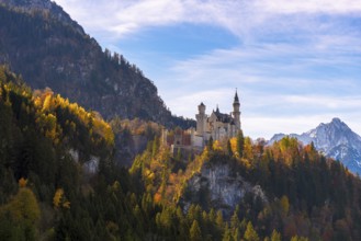 Neuschwanstein Castle rises on a hill covered with autumn trees, mountains in the background,