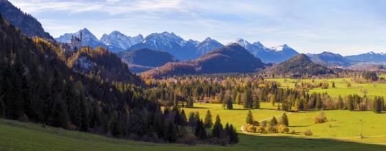 Panoramic picture, vast landscape with green fields, the distant Neuschwanstein Castle and majestic