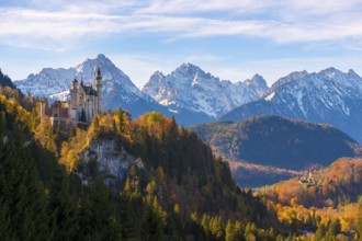 The majestic Neuschwanstein Castle on a mountain with autumn-colored forest in the foreground,