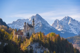 Neuschwanstein Castle surrounded by autumnal forest and high mountains, Schwangau near Füssen,
