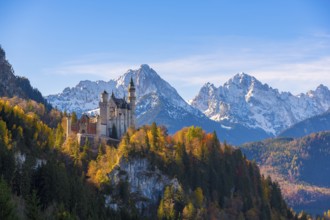 Neuschwanstein Castle towers over autumn trees against a backdrop of the Alps, Schwangau near
