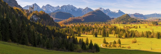 Panoramic picture, landscape with green fields, Neuschwanstein Castle and mountains in the