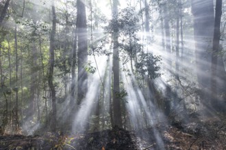 Preventive burning to prevent fires in the hot bushland of Queensland Australia
