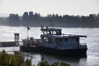 Rhine ferries mermaid at the pier on the river Rhine, Erpel, opposite the Ludendorff bridge on the