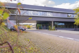 Street scene in front of a modern office building surrounded by autumn leaves and a parking lot,