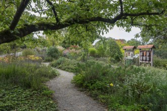 Kreislehrgarten, Burgsteinfurt, Münsterland, North Rhine-Westphalia, Germany