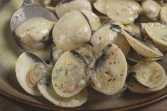 Vongole clams, in cream sauce, homemade, top view, no people