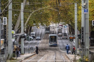 Bogestra tram, line 302 on Alleestraße, driving school, training trip, tram line in the middle of
