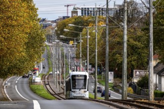 Bogestra tram, line 305, on the Wattenscheider Hellweg, driving school, training trip, tram line in