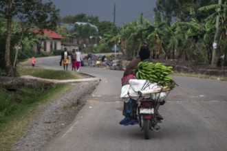 Street scene in rural Uganda, motorcyclists loaded with bananas, Kisoro, Uganda