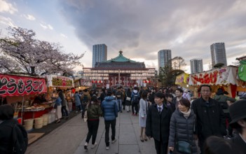 Shinobazunoike Bentendo Temple, food stalls selling Japanese food, cherry blossoms in spring,