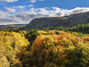 Autumn colours over Gwydir Forest Park from a drone, Afon Lledr, Road A470, Snowdonia, Eryri,