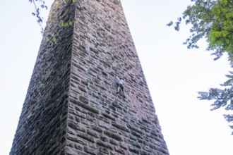 An athlete climbs up a high stone wall surrounded by trees under a clear sky, Burgruine Mandelberg,