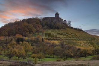 Lichtenberg Castle, Oberstenfeld, Bottwartal, Löwensteiner Mountains, vineyard, vines, viticulture,